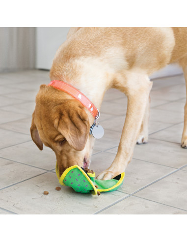 Brinquedo Kong AirDog Donut c/ Som - L
