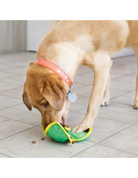 Brinquedo Kong AirDog Donut c/ Som - L