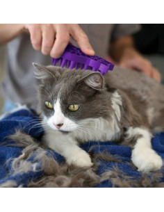 Escova Kong ZoomGroom p/ Gatos 2