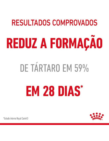 Royal Canin Oral Care, Gato, Seco, Adulto, Alimento/Ração