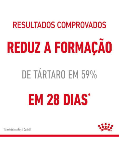 Royal Canin Oral Care, Gato, Seco, Adulto, Alimento/Ração