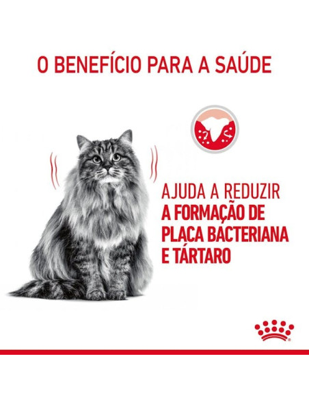 Royal Canin Oral Care, Gato, Seco, Adulto, Alimento/Ração
