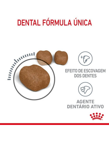 Royal Canin Oral Care, Gato, Seco, Adulto, Alimento/Ração