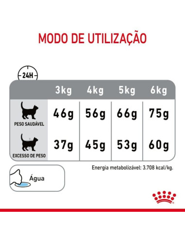 Royal Canin Oral Care, Gato, Seco, Adulto, Alimento/Ração