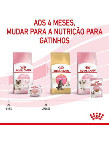 Royal Canin Mother e Babycat Húmidos Lata 195g 