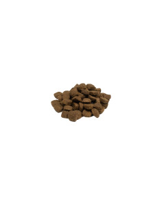 Weego Cão Adulto Grain Free Tasty Cordeiro 2