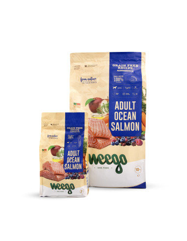 Weego Cão Adulto Grain Free Ocean Salmão