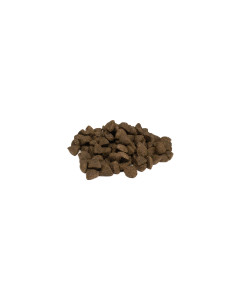 Weego Cão Adulto Grain Free Ocean Salmão 2