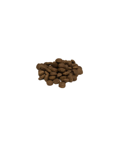 Weego Cão Senior e Light Grain Free Gourmet Peru