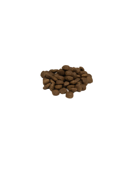 Weego Cão Senior e Light Grain Free Gourmet Peru