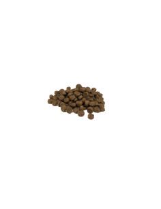 Weego Cão Puppy Grain Free Tender Frango 2