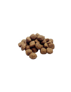 Weego Cão Adulto Frango e Cenoura 2