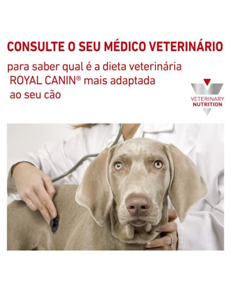 Royal Canin Hypoallergenic Canine 14Kg