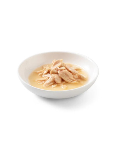 Schesir Gatos Húmidos Salmão ao Natural 85 Gr