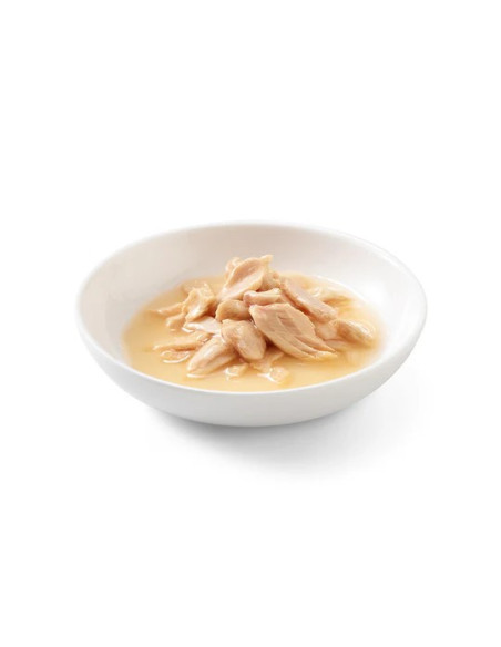 Schesir Gatos Húmidos Salmão ao Natural 85 Gr
