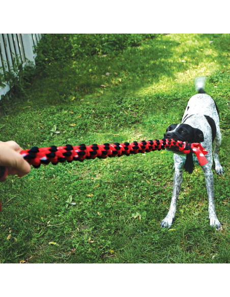 Brinquedo Kong Signature Rope Double Tug (SKT12E)