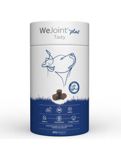 WeJoint Plus Tasty Raças Medias 30 chews