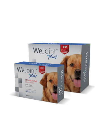 WeJoint Plus Raças Grandes