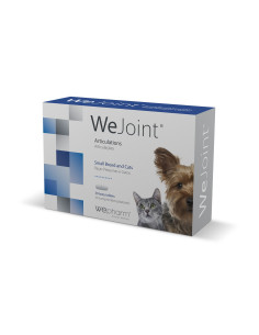 WeJoint Raças Pequenas e Gatos