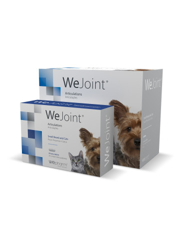 WeJoint Raças Pequenas e Gatos