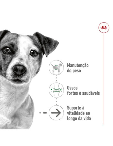 Royal Canin Mini Ageing 12+, Cão, Seco, Sénior, Alimento/Ração