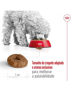 Royal Canin Mini Ageing 12+, Cão, Seco, Sénior, Alimento/Ração 2