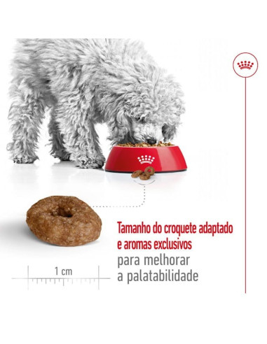 Royal Canin Mini Ageing 12+, Cão, Seco, Sénior, Alimento/Ração