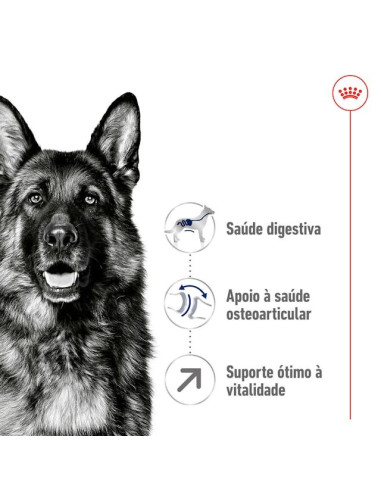 Royal Canin Maxi, Cão, Seco, Adulto 5+, Alimento/Ração