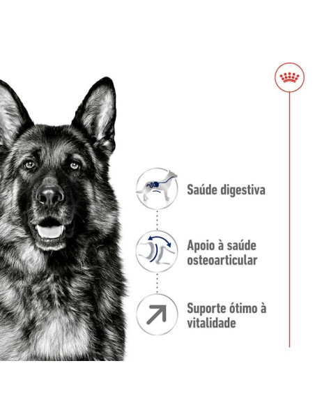 Royal Canin Maxi, Cão, Seco, Adulto 5+, Alimento/Ração