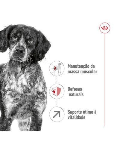 Royal Canin Medium, Cão, Seco, Adulto 7+, Alimento/Ração