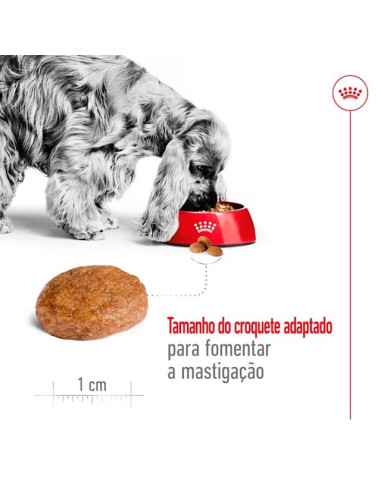 Royal Canin Medium, Cão, Seco, Adulto 7+, Alimento/Ração