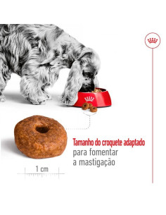 Royal Canin Medium Adult 4kg 2