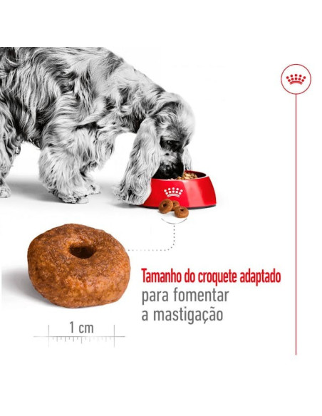 Royal Canin Medium Adult 4kg