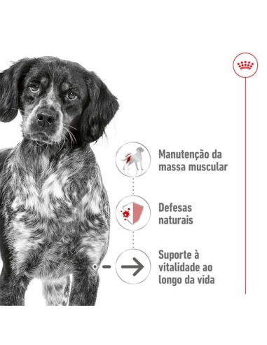 Royal Canin Medium Adult 4kg