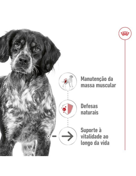 Royal Canin Medium Adult 4kg