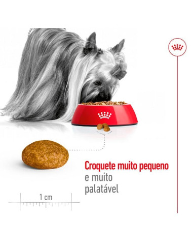 Royal Canin X-small Adult, Cão, Seco, Adulto, Alimento/Ração
