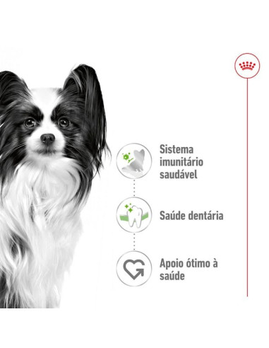 Royal Canin X-small Adult, Cão, Seco, Adulto, Alimento/Ração