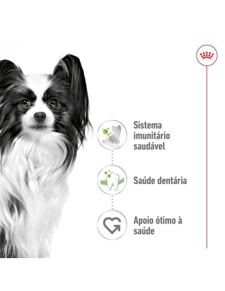 Royal Canin X-small Adult, Cão, Seco, Adulto, Alimento/Ração