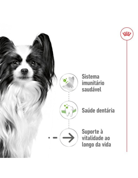 Royal Canin X-small, Cão, Seco, Ageing 12+, Alimento/Ração