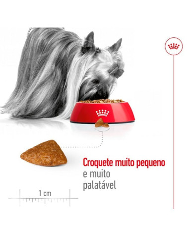 Royal Canin X-small, Cão, Seco, Ageing 12+, Alimento/Ração