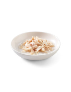 Schesir Gato Húmidos in sauce Aum com Dourada 2