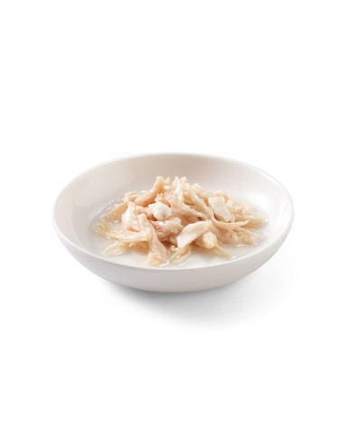Schesir Gato Húmidos in sauce Aum com Dourada