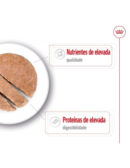 Royal Canin Maxi Adult, Cão, Húmidos em lata, Adulto, Alimento