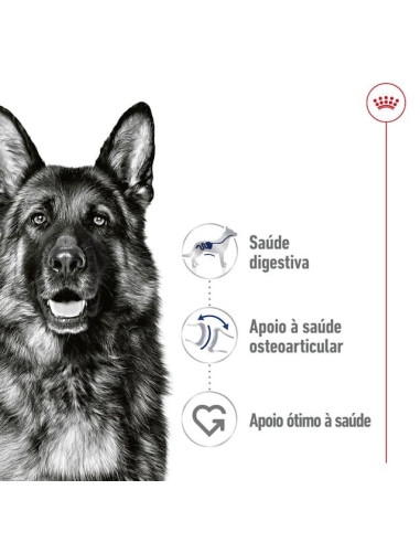 Royal Canin Maxi Adult, Cão, Húmidos em lata, Adulto, Alimento