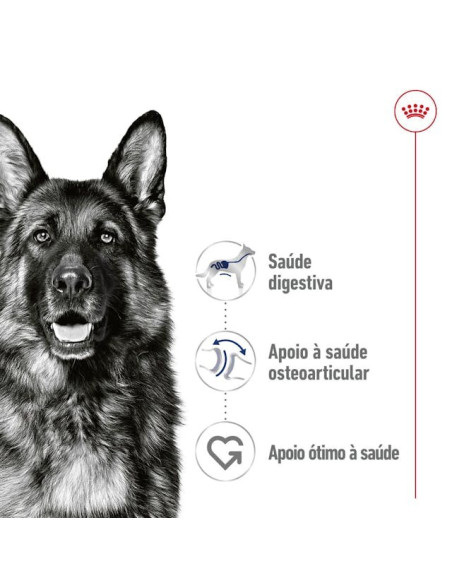 Royal Canin Maxi Adult, Cão, Húmidos em lata, Adulto, Alimento