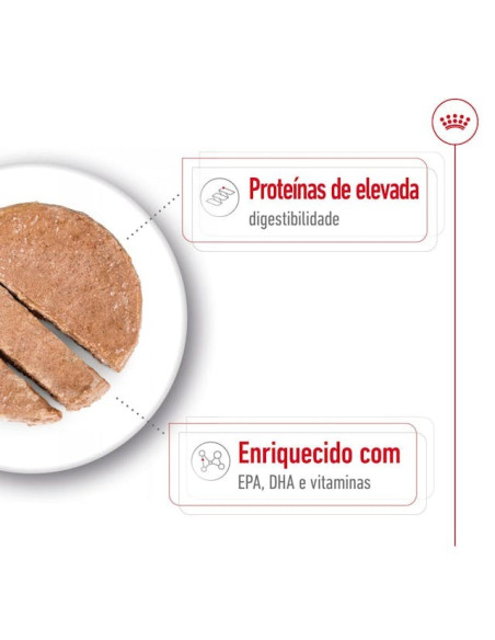Royal Canin Maxi Ageing, Cão, Húmidos em lata, Adulto, Alimento
