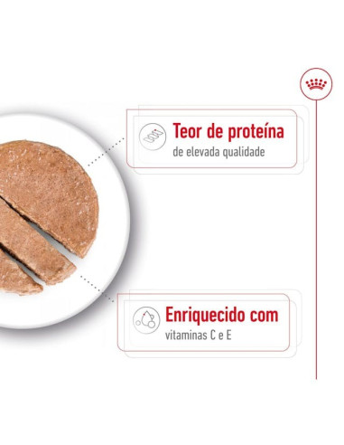 Royal Canin Medium Adult, Cão, Húmidos em lata, Adulto, Alimento