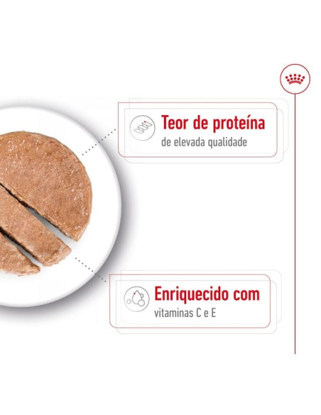 Royal Canin Medium Adult, Cão, Húmidos em lata, Adulto, Alimento