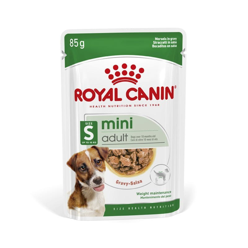 Royal Canin Mini Puppy, Cão, Húmidos, Cachorro, Alimento