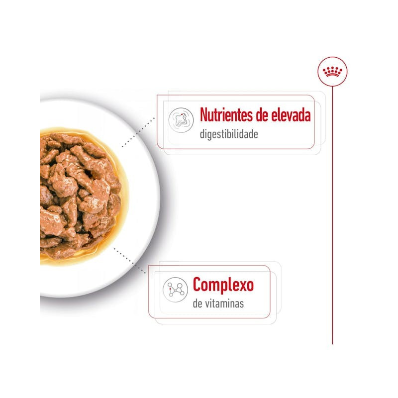 Royal Canin Mini Puppy, Cão, Húmidos, Cachorro, Alimento